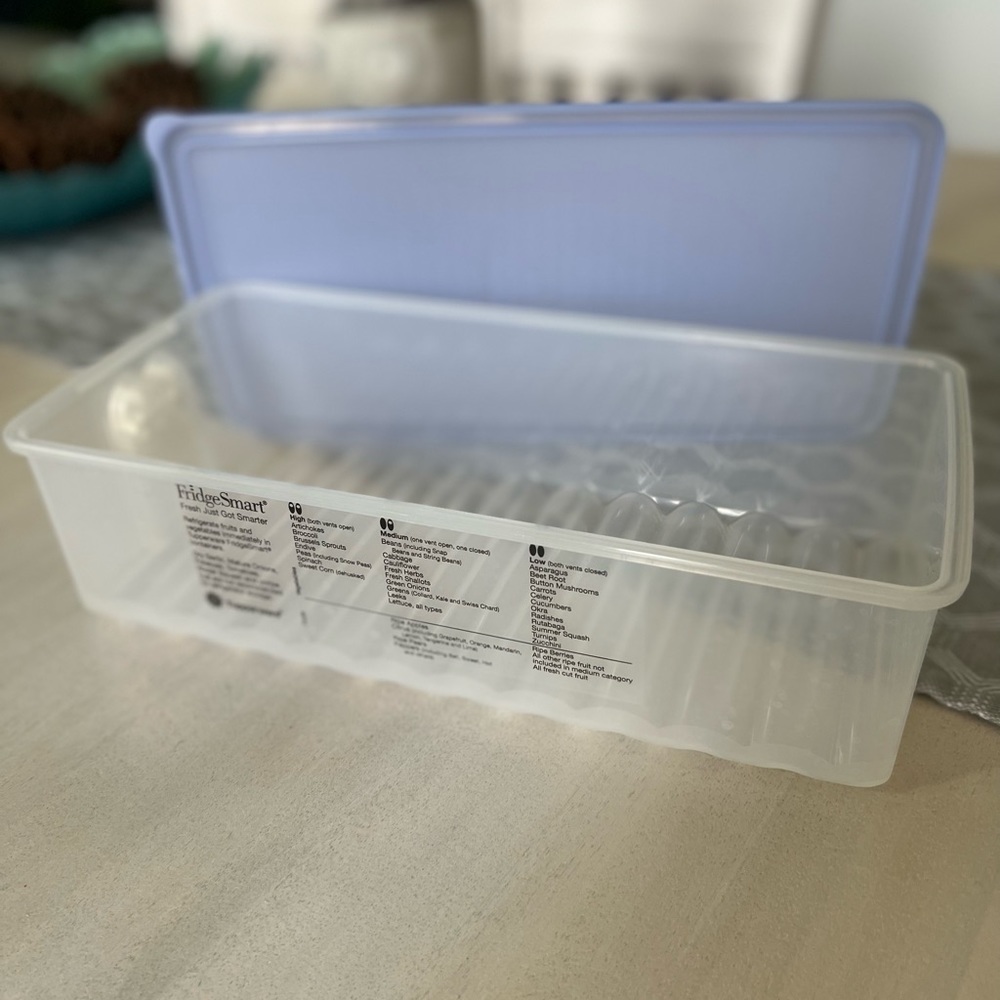 Tupperware fresh keeper